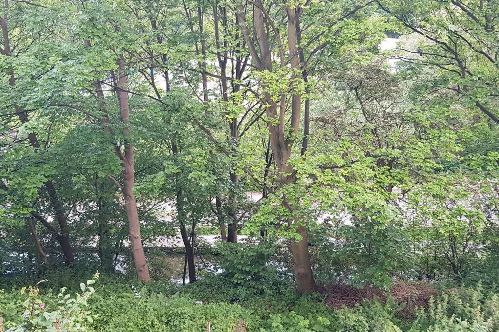 Bowie'S Abode Sowerby Bridge Ngoại thất bức ảnh